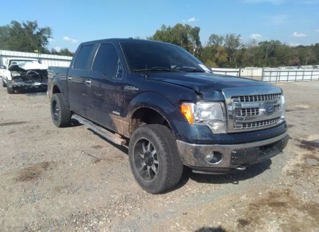 FORD F-150 2014 1ftfw1et5efb76001