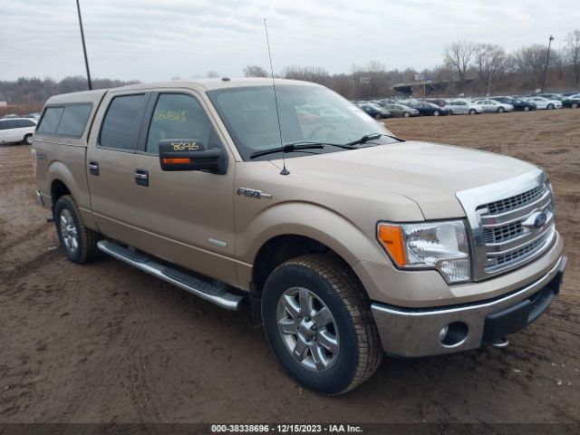 FORD F-150 2014 1ftfw1et5efb76869