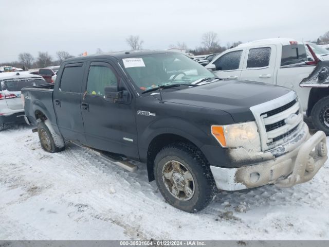 FORD F-150 2014 1ftfw1et5ekg16094