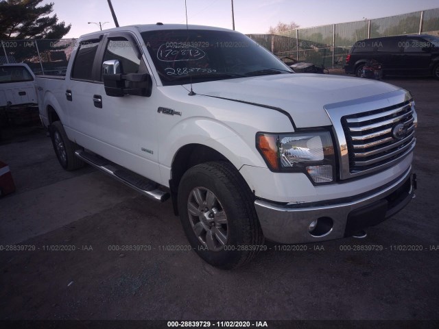 FORD F-150 2011 1ftfw1et6bfa70913