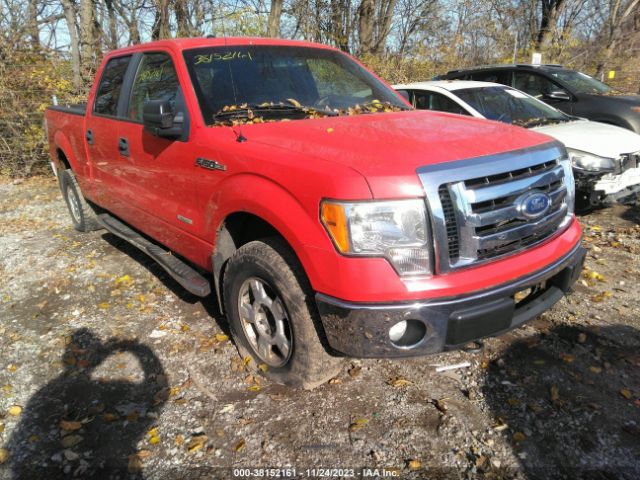 FORD F-150 2011 1ftfw1et6bfb12318