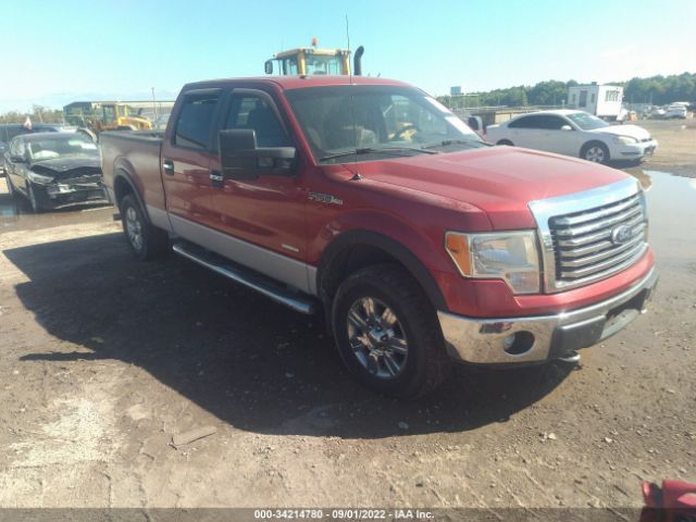 FORD F-150 2011 1ftfw1et6bfb18801