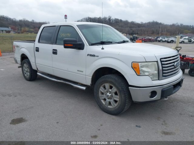 FORD F-150 2011 1ftfw1et6bfc10443