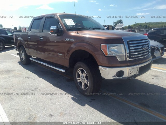 FORD F-150 2011 1ftfw1et6bfc48660