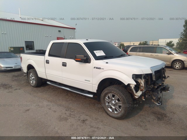 FORD F-150 2011 1ftfw1et6bfc78905