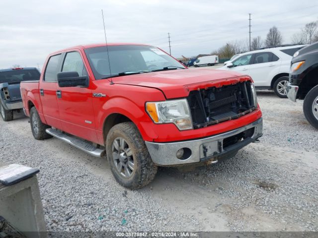 FORD F-150 2011 1ftfw1et6bfd06783