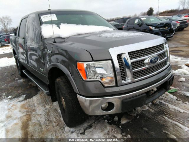 FORD F-150 2011 1ftfw1et6bfd16617