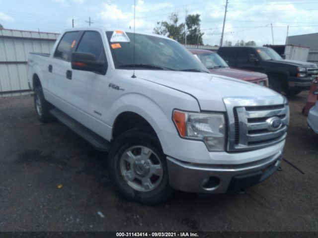 FORD F-150 2011 1ftfw1et6bkd90143