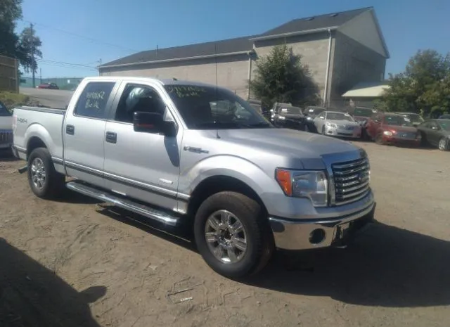 FORD F-150 2011 1ftfw1et6bke17549