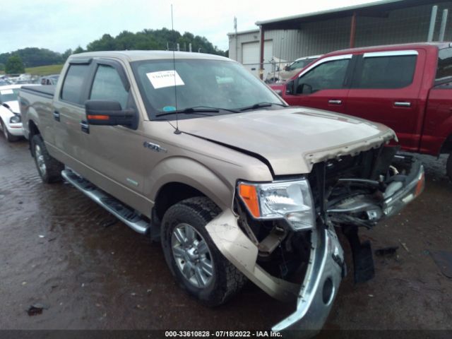 FORD F-150 2012 1ftfw1et6cfb00672