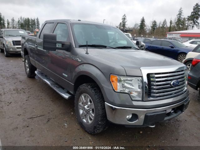 FORD F-150 2012 1ftfw1et6cfb74349