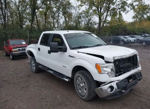 FORD F-150 2012 1ftfw1et6cfb74559