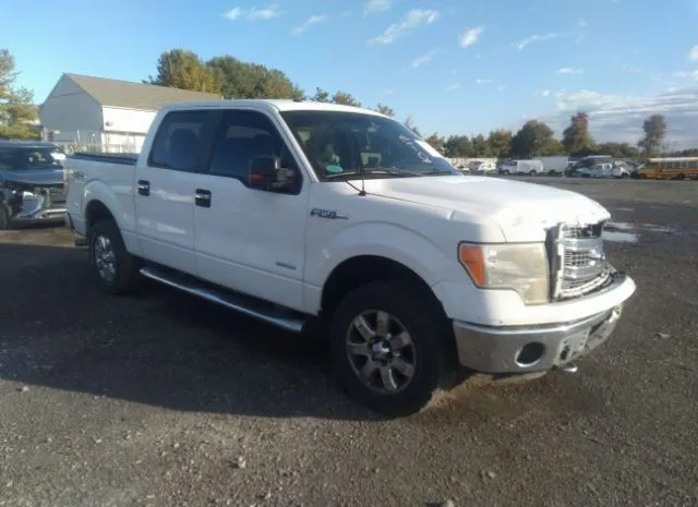 FORD F-150 2013 1ftfw1et6dfa22699