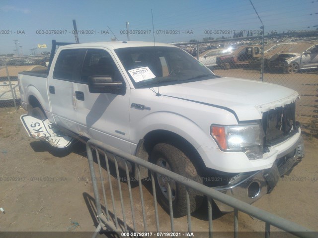 FORD F-150 2013 1ftfw1et6dfa40703