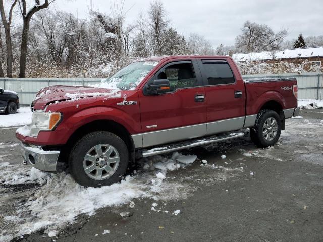 FORD F-150 2013 1ftfw1et6dfa51748