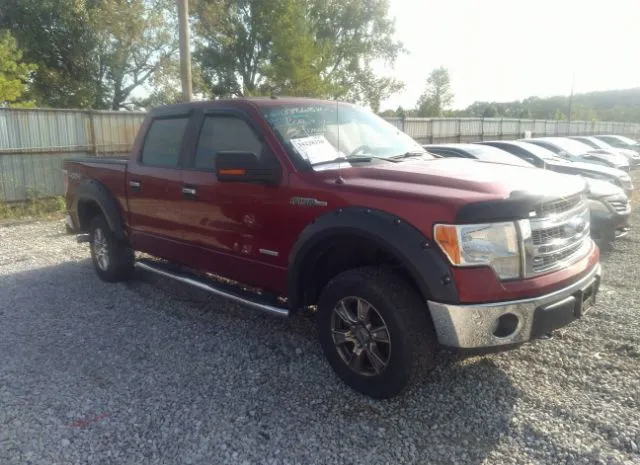 FORD F-150 2013 1ftfw1et6dfb29008