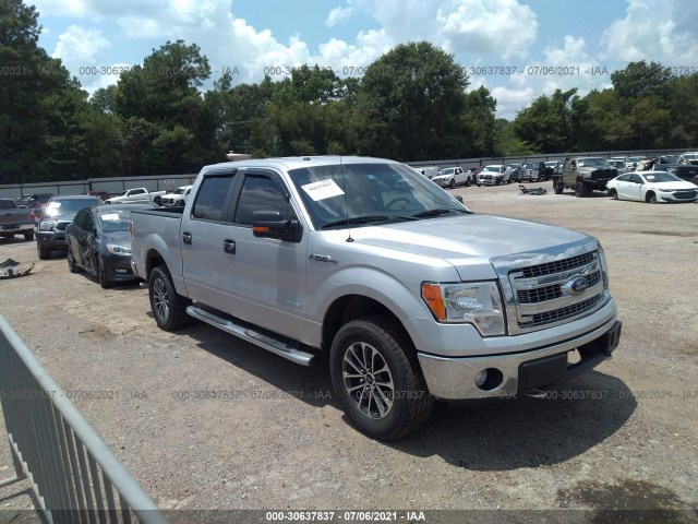 FORD F-150 2013 1ftfw1et6dfb69783