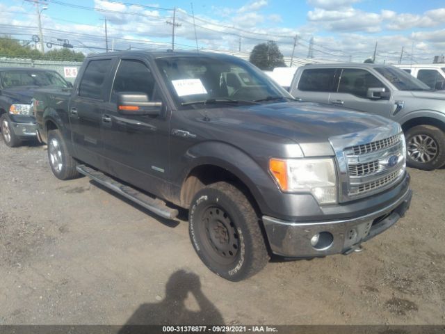 FORD F-150 2013 1ftfw1et6dfc29660