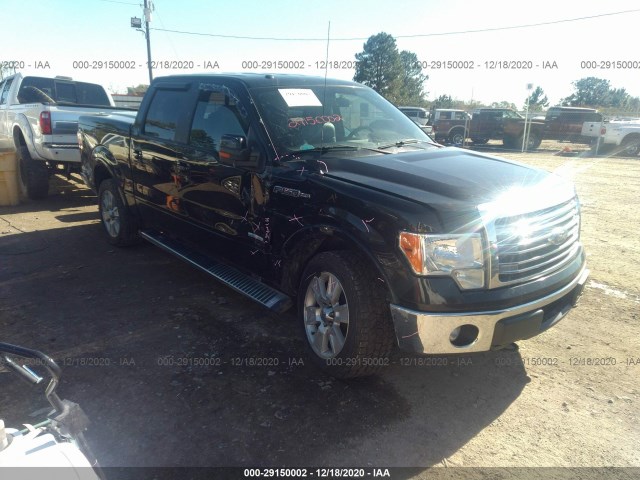 FORD F-150 2013 1ftfw1et6dfc46944