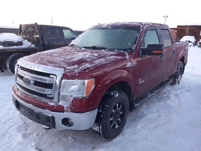 FORD F-150 2013 1ftfw1et6dfc72573