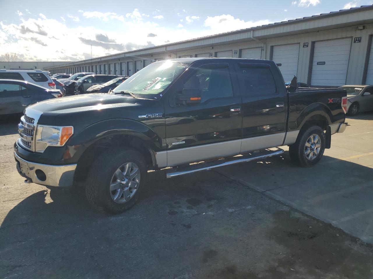 FORD F-150 2013 1ftfw1et6dfd13140