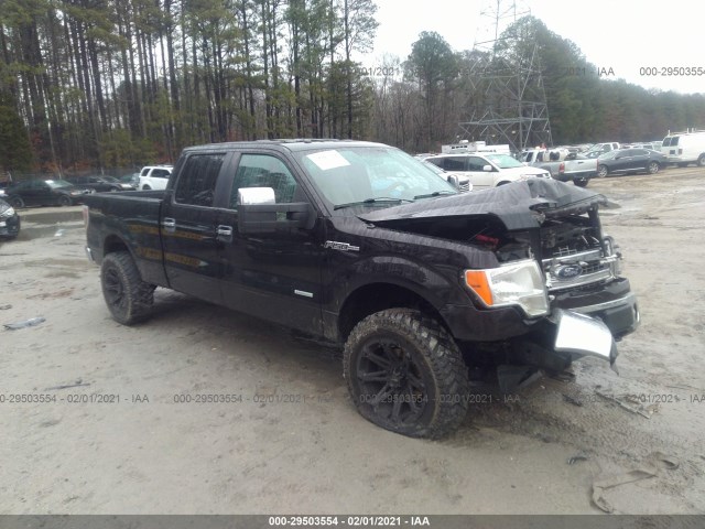 FORD F-150 2013 1ftfw1et6dfd32206