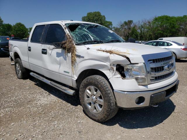 FORD F150 SUPER 2013 1ftfw1et6dfd40676