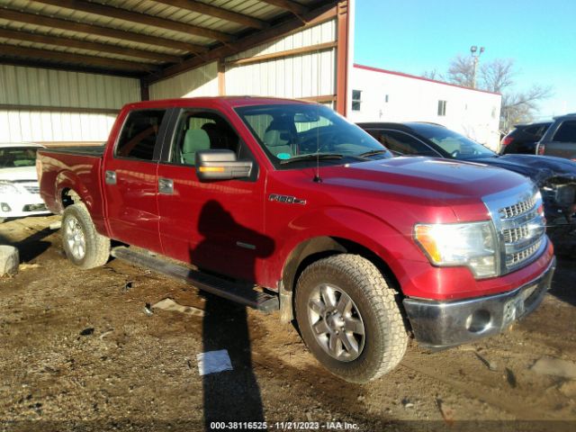 FORD F-150 2013 1ftfw1et6dfd41066