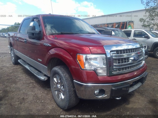 FORD F-150 2013 1ftfw1et6dfd54898