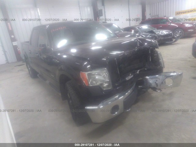 FORD F-150 2013 1ftfw1et6dfd61110