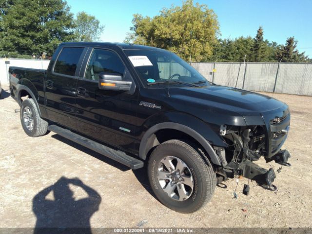 FORD F-150 2013 1ftfw1et6dfd83513