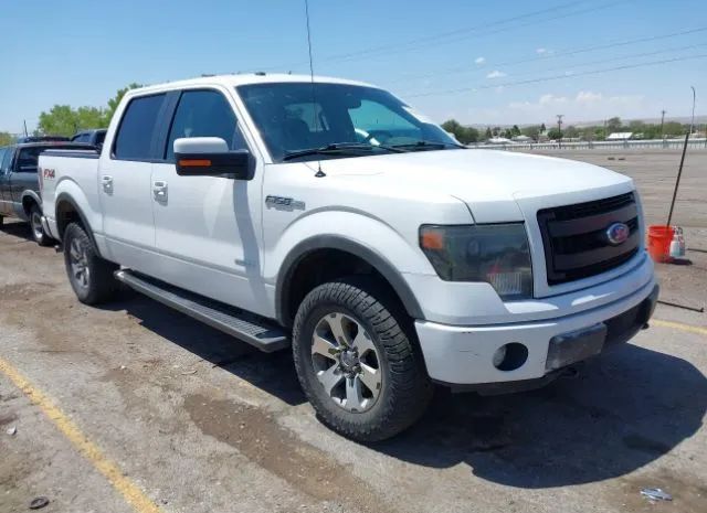 FORD F-150 2013 1ftfw1et6dkf19999