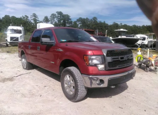 FORD F-150 2013 1ftfw1et6dkf79894