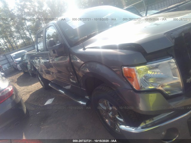 FORD F-150 2013 1ftfw1et6dkg02543