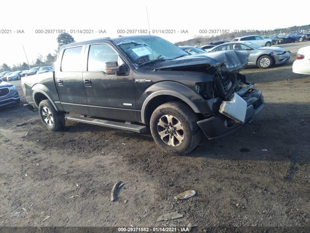 FORD F-150 2014 1ftfw1et6efa46714