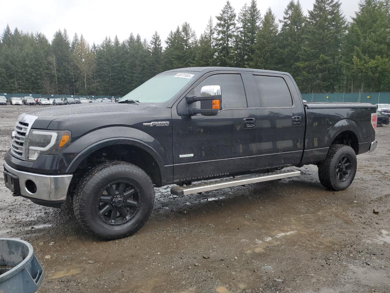 FORD F-150 2014 1ftfw1et6efa62881