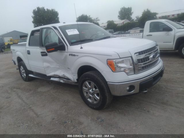 FORD F-150 2014 1ftfw1et6efa91149