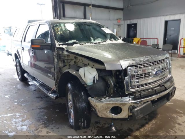 FORD F-150 2014 1ftfw1et6efb49423