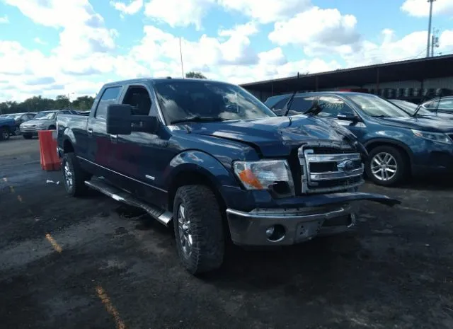 FORD F-150 2014 1ftfw1et6efb89128