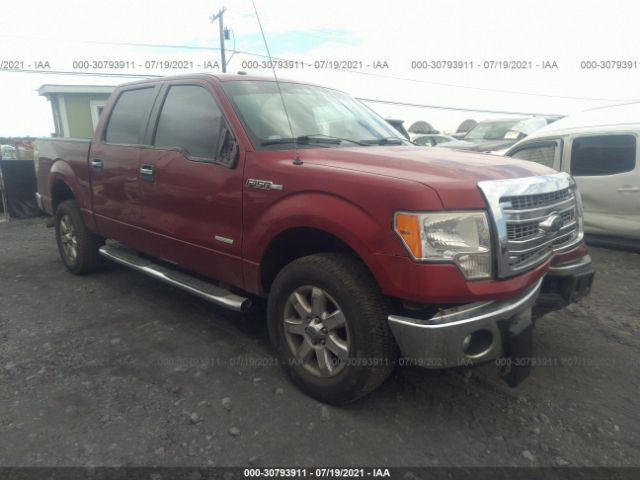 FORD F-150 2014 1ftfw1et6ekd07041