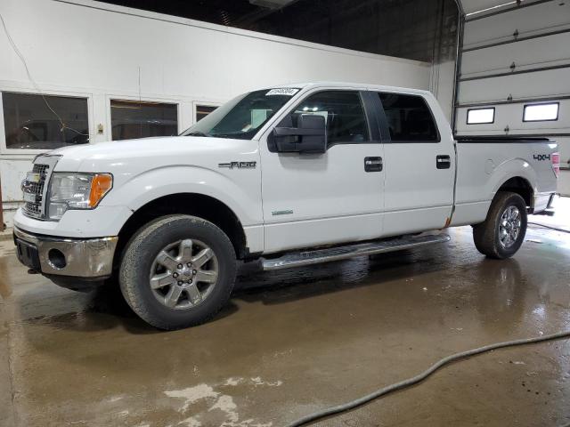 FORD F-150 2014 1ftfw1et6ekd11073