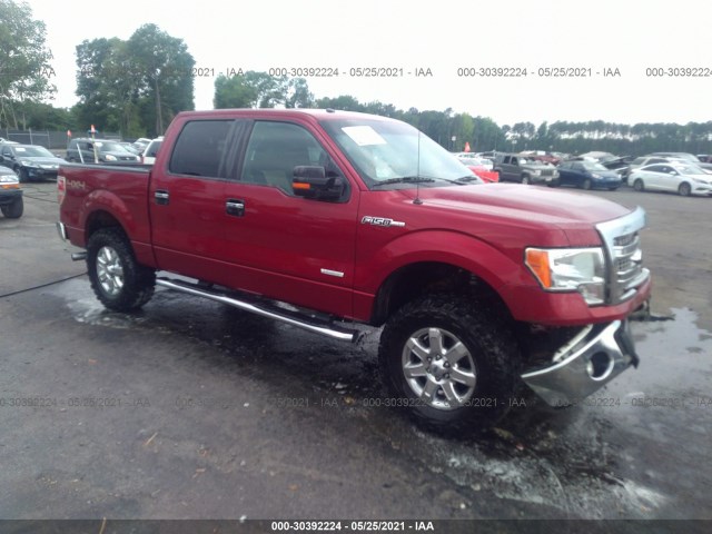 FORD F-150 2014 1ftfw1et6ekd89367