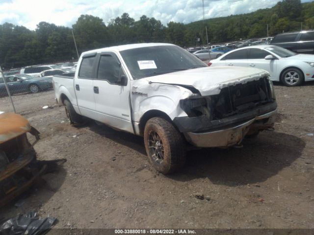 FORD F-150 2014 1ftfw1et6ekg10305