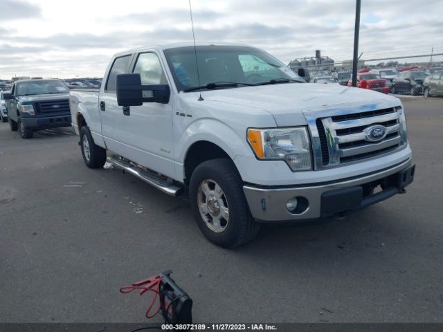 FORD F-150 2011 1ftfw1et7bfb11050