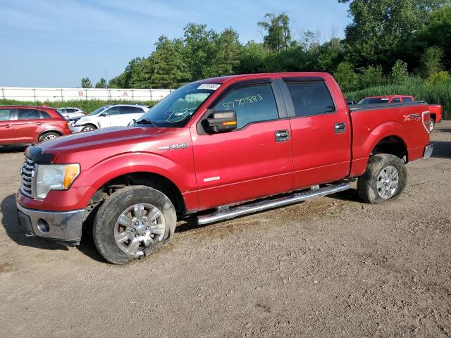 FORD F-150 2011 1ftfw1et7bfb19374