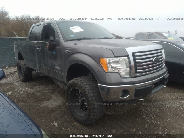 FORD F-150 2011 1ftfw1et7bfb43187