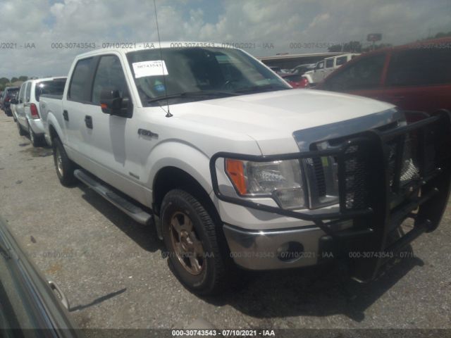 FORD F-150 2011 1ftfw1et7bfb43951