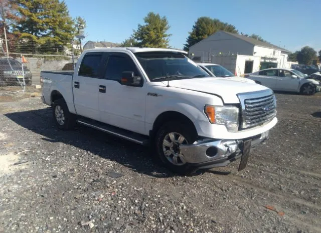 FORD F-150 2011 1ftfw1et7bfb67912