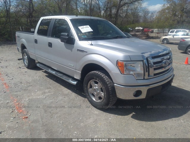 FORD F-150 2011 1ftfw1et7bfb86668