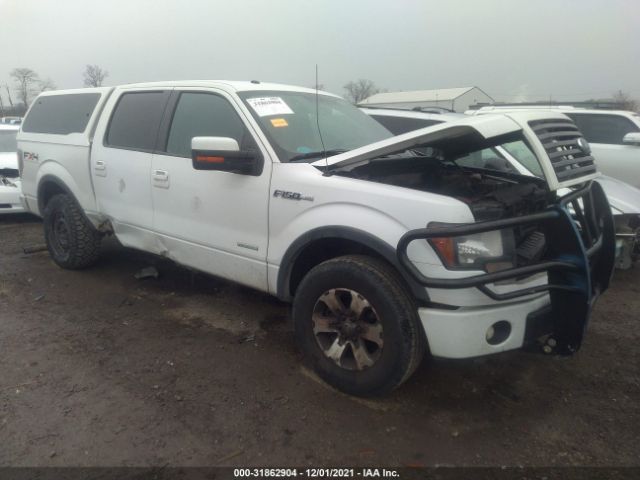 FORD F-150 2011 1ftfw1et7bfc68819